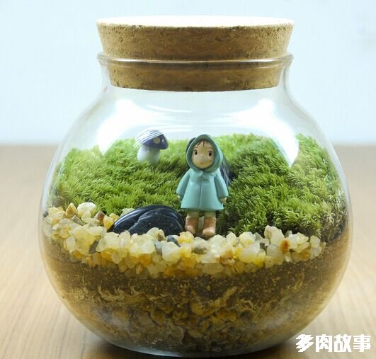 玻璃瓶中的童话世界 苔藓生态瓶制作简介